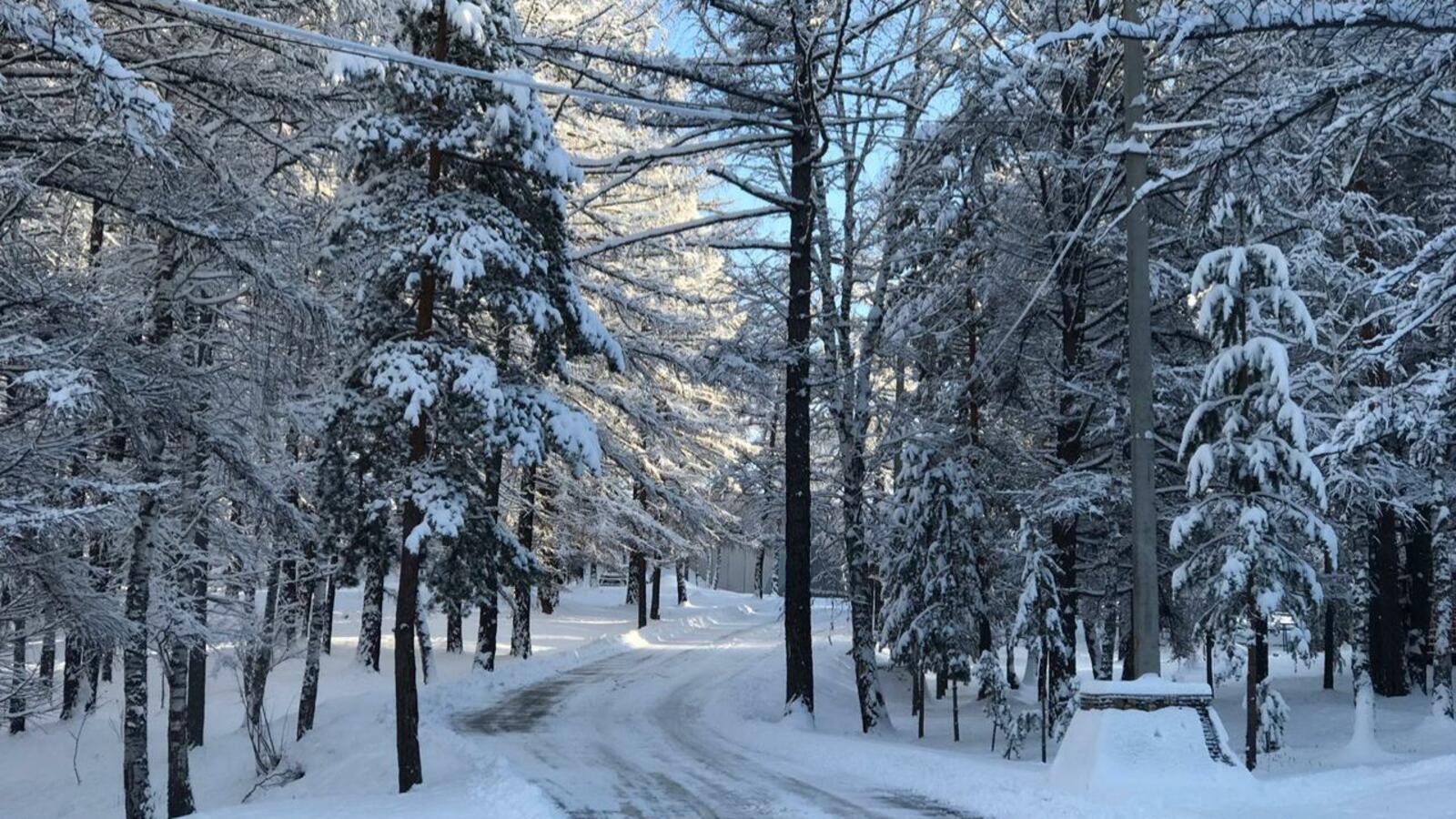 Ксения Калинина