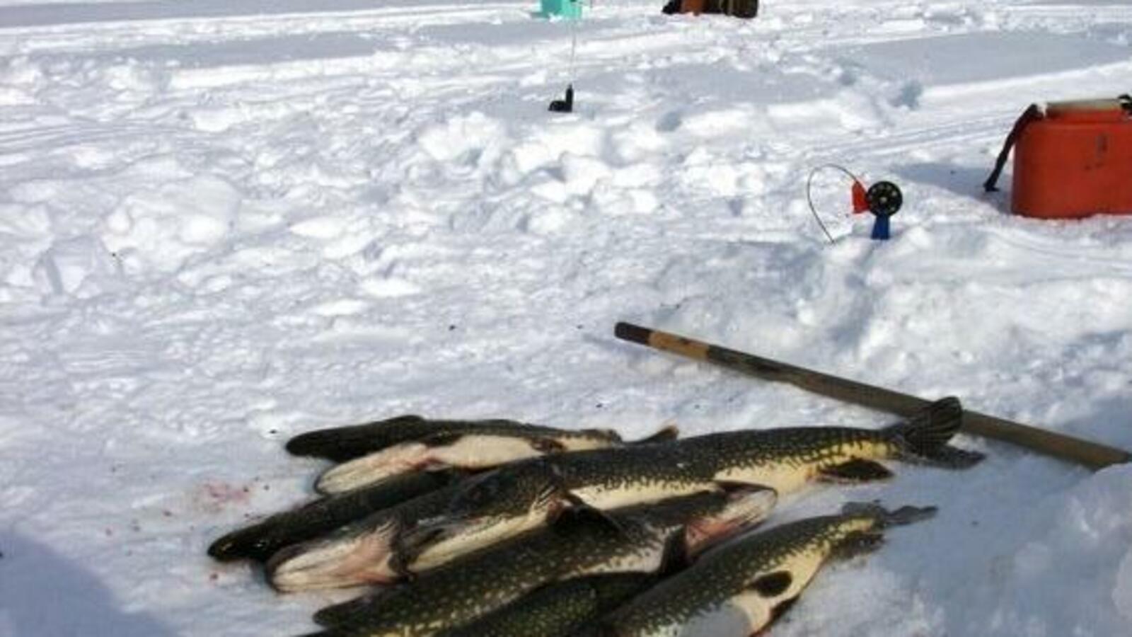 администрация Бурзянского района