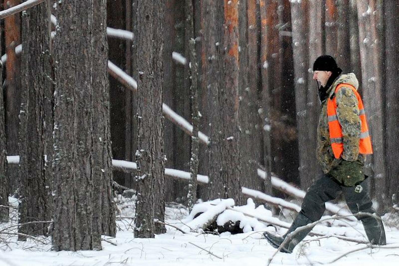 ТАСС