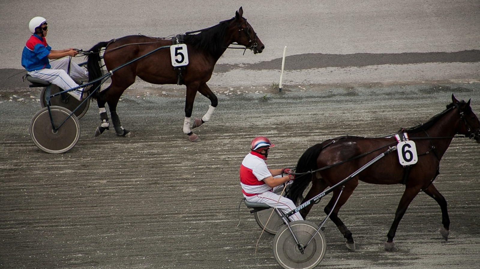 представлено ипподромом «Акбузат»