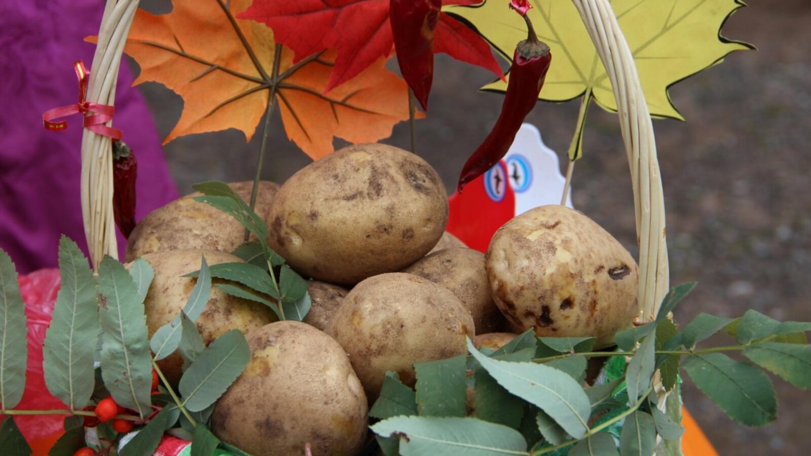 ИА «Башинформ»