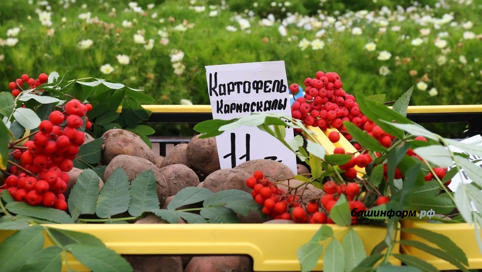 Валерий Шахов