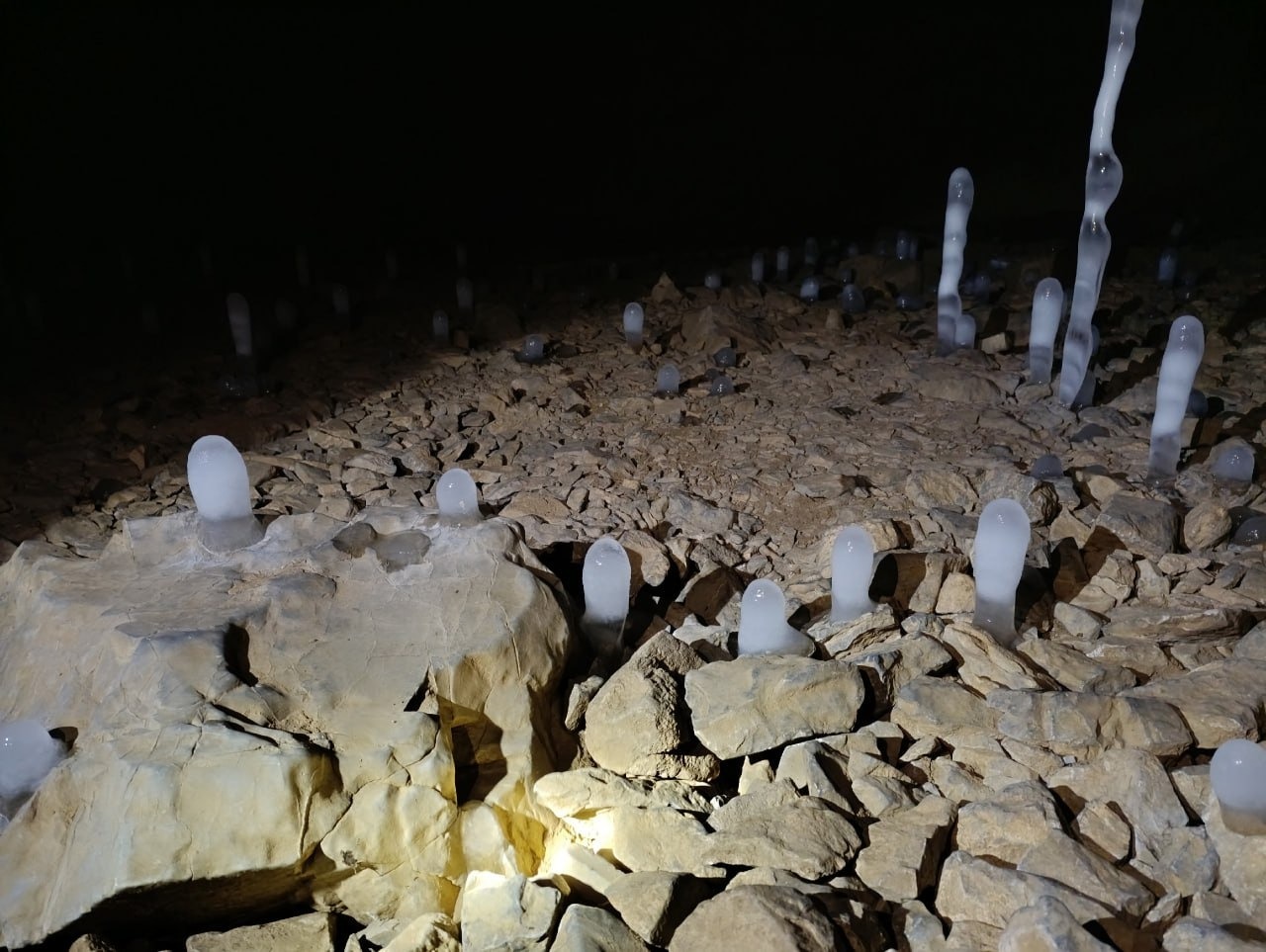 пресс-служба Государственный заповедник «Шульган-Таш»