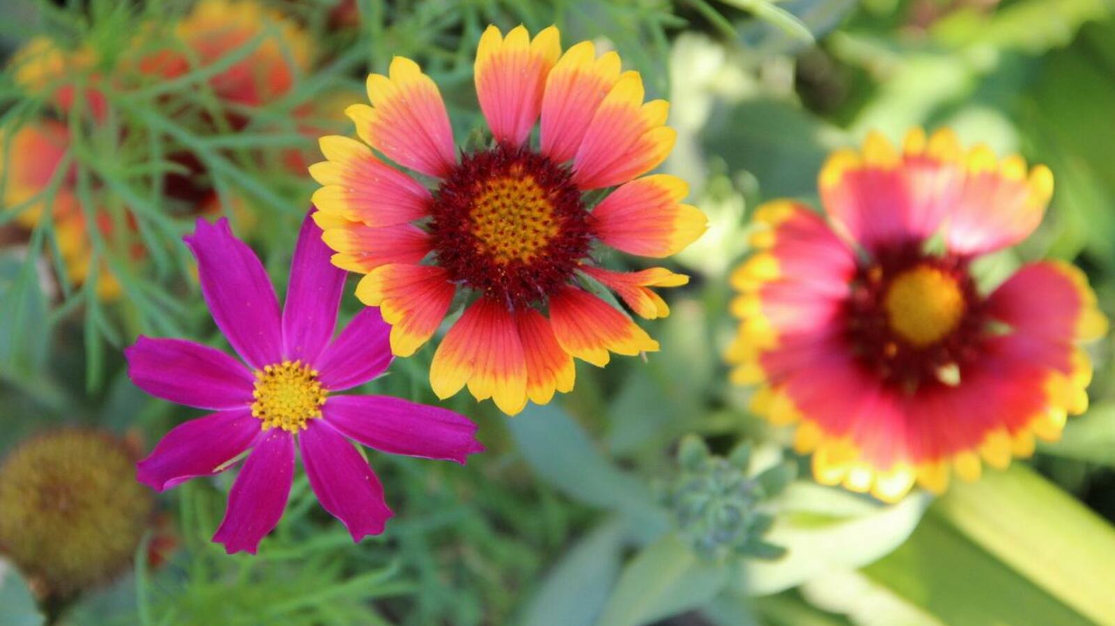 ИА "Башинформ"