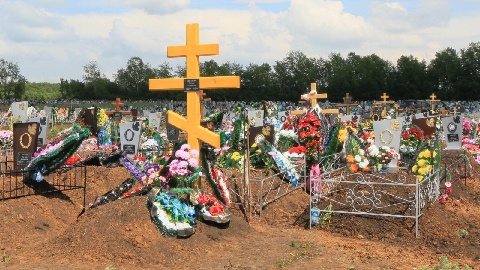 Андрей Старостин