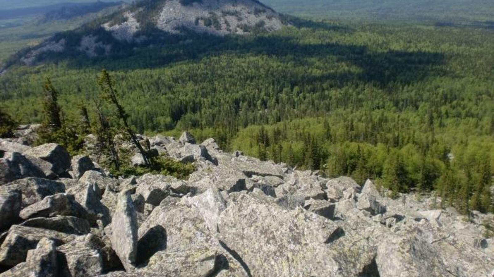 pikabu.ru, Лилия Нуретдинова