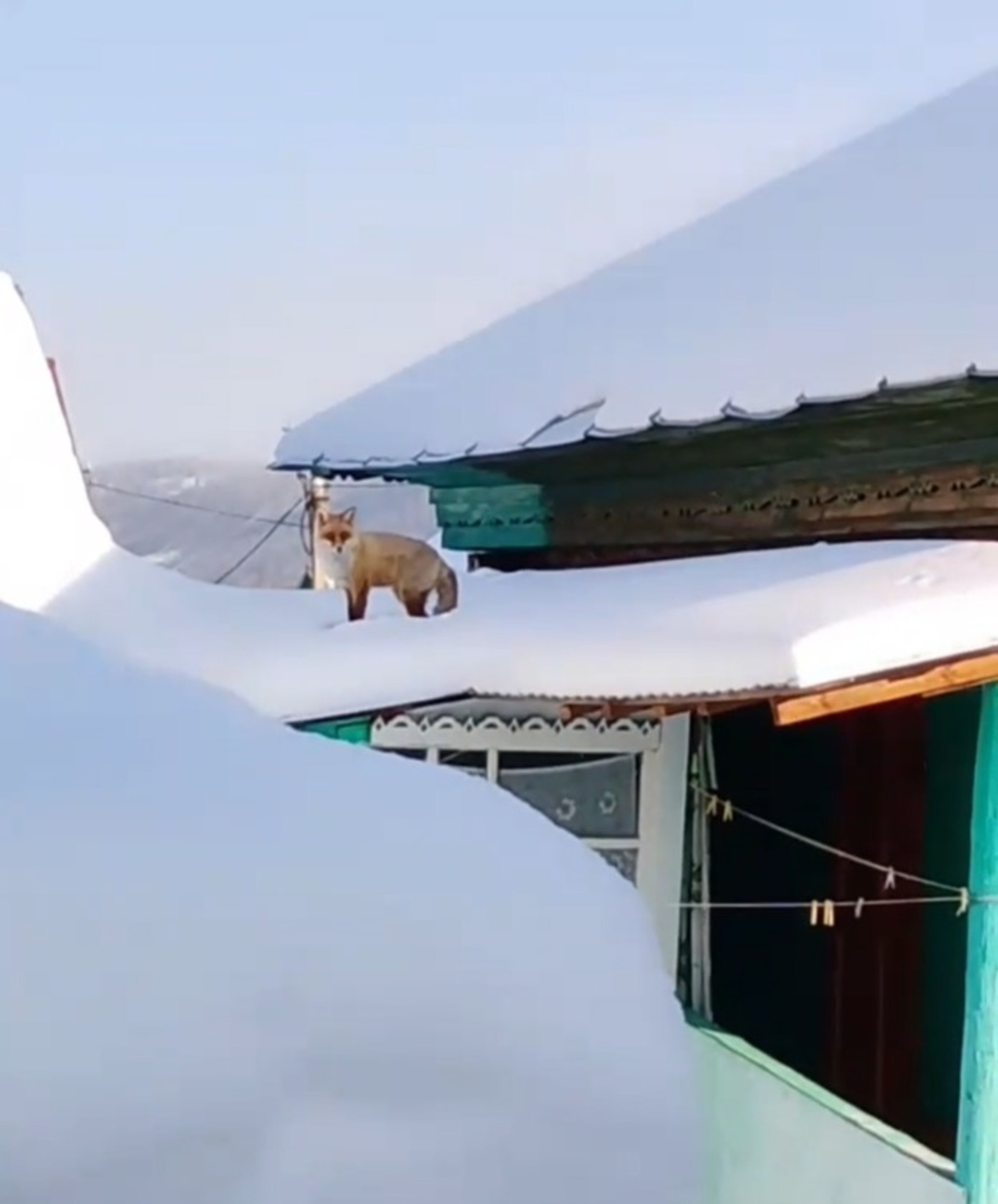 скриншот видео ИА «Башинформ»