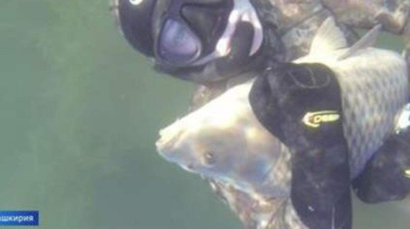 Вести Россия 1