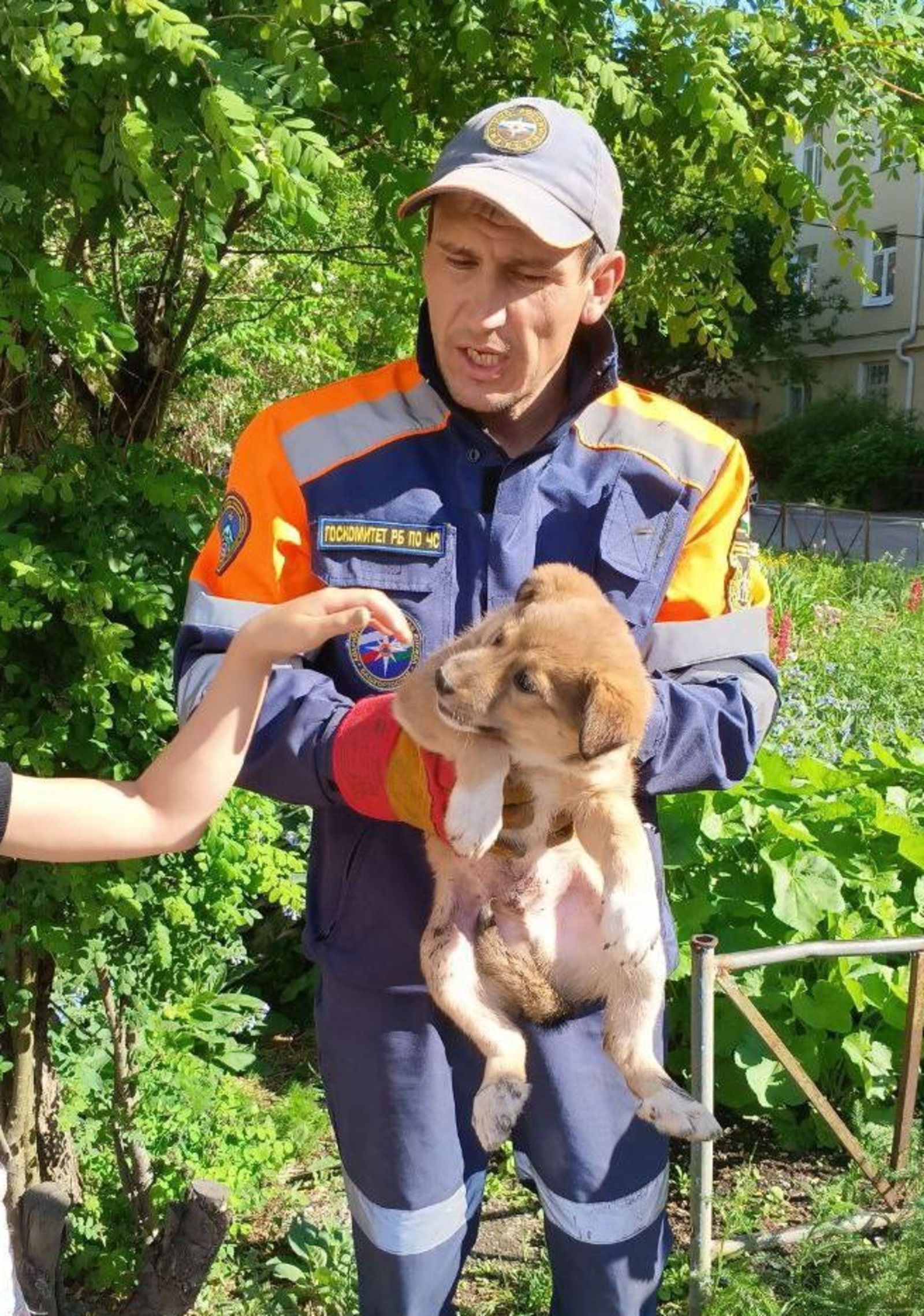госкомитет РБ по ЧС