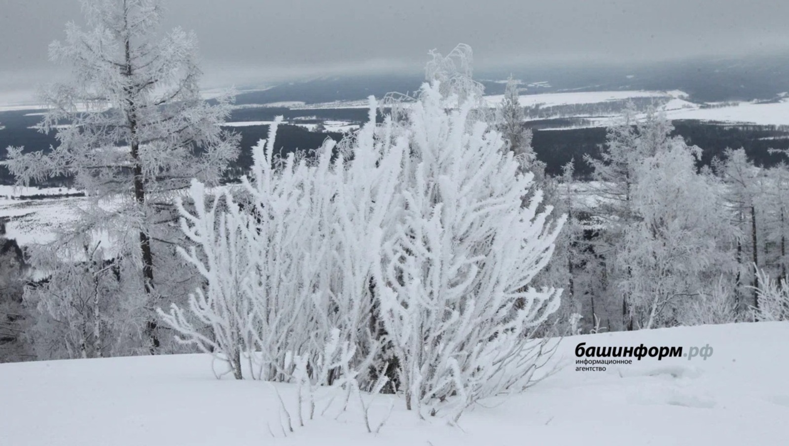 «Башинформ» архивы / «Башинформ» архивы