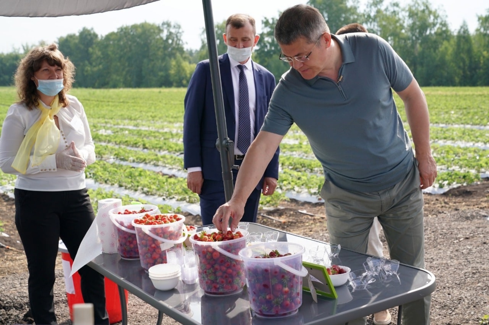 Радий Хабиров предложил альтернативу импортным ягодам и фруктам