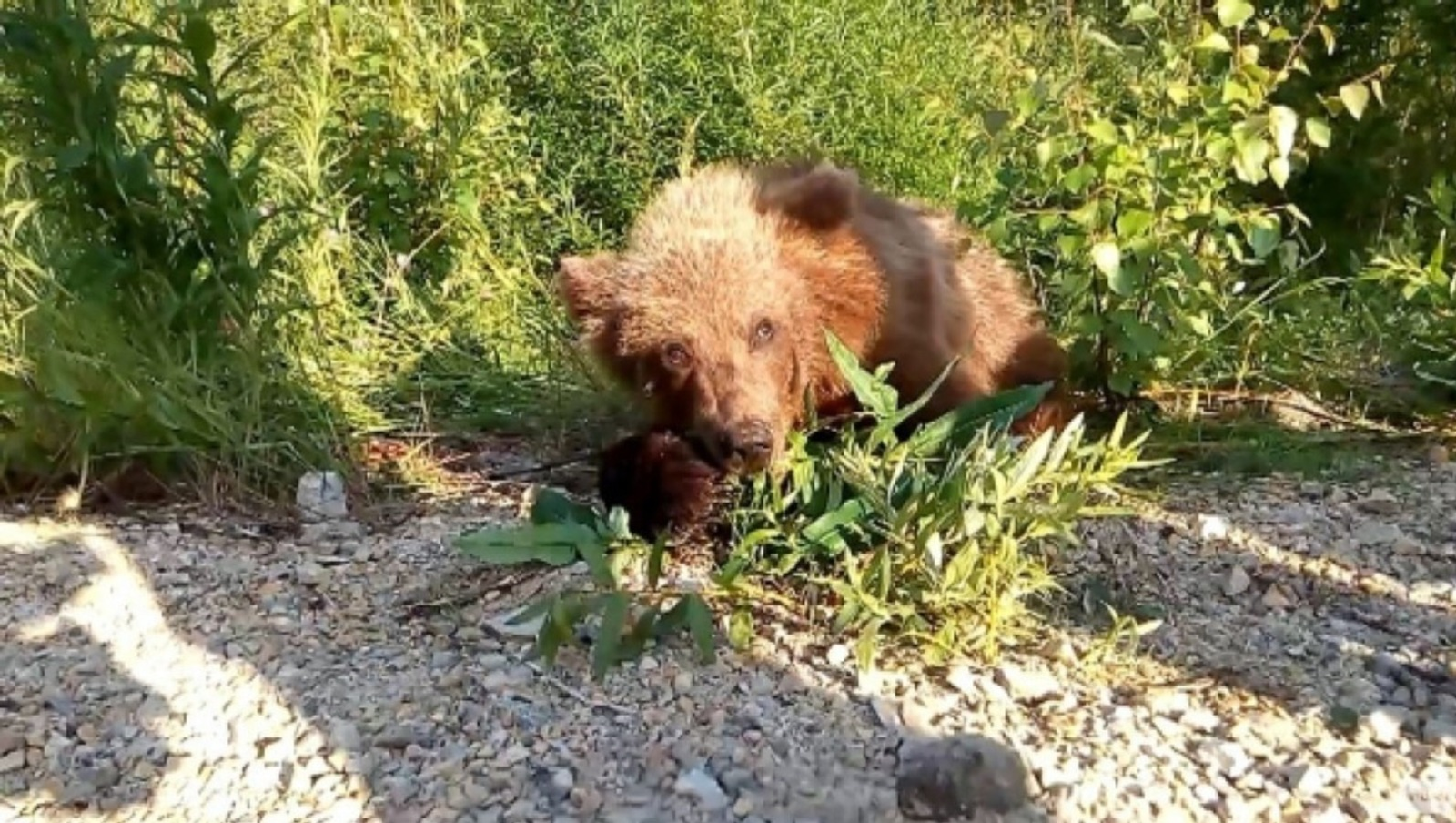 Башҡортостандың Тәбиғәттән файҙаланыу һәм экология министрлығы архивы