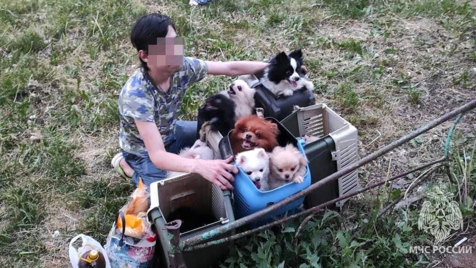 МЧС России