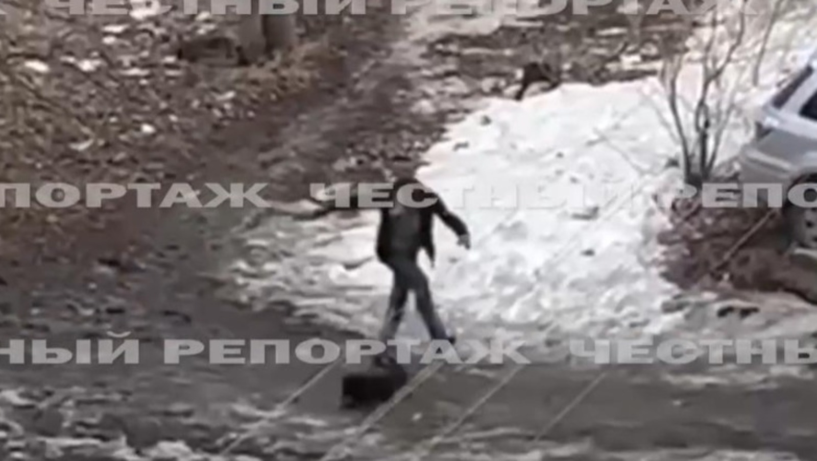 стоп-кадр видео «Честный репортаж», телеграм