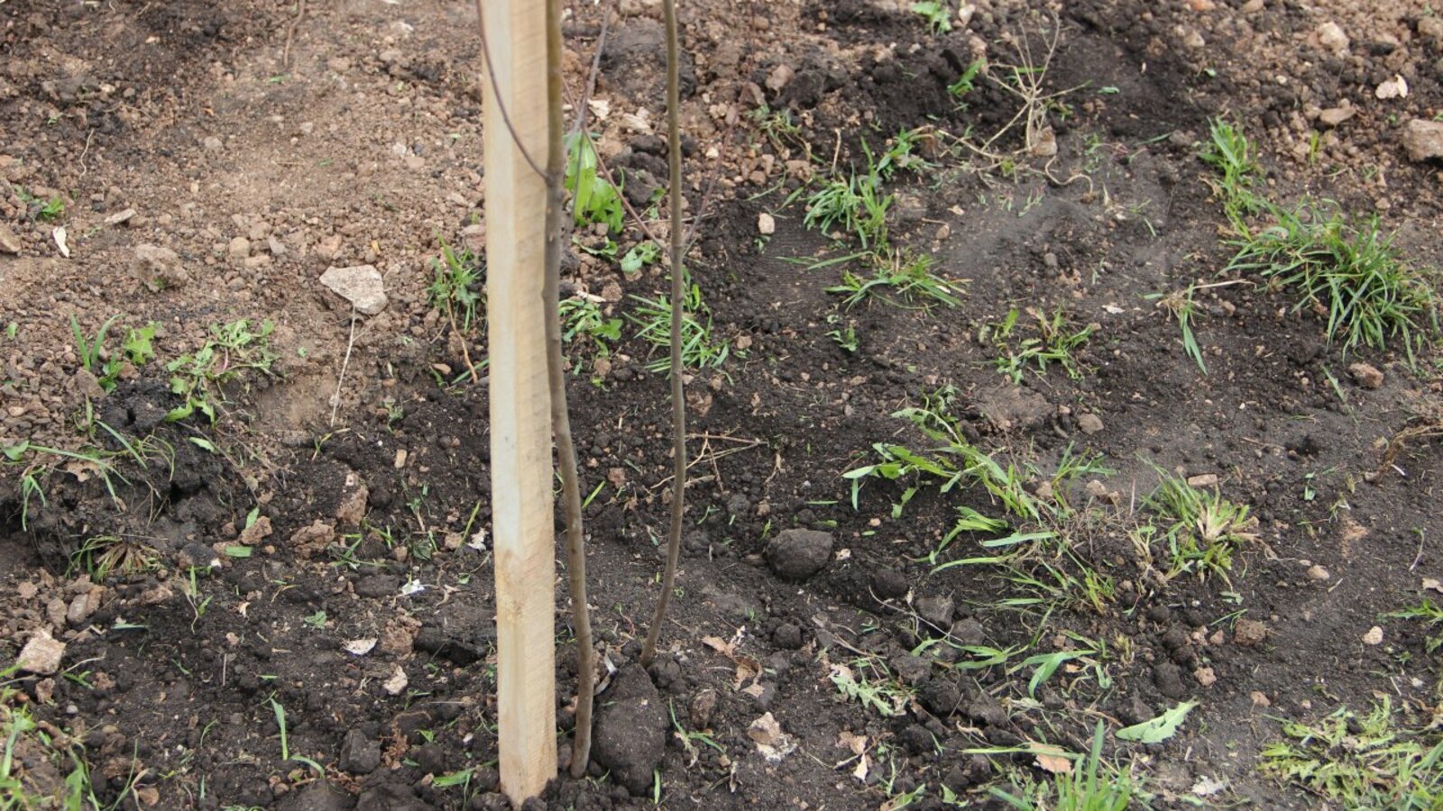 ИА «Башинформ»