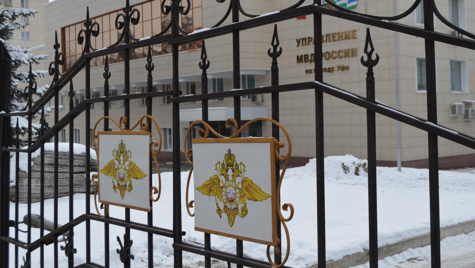 Ксения Калинина