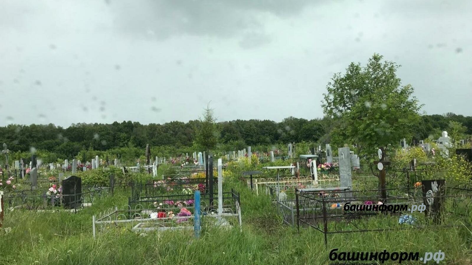 Ксения Калинина | «Башинформ»