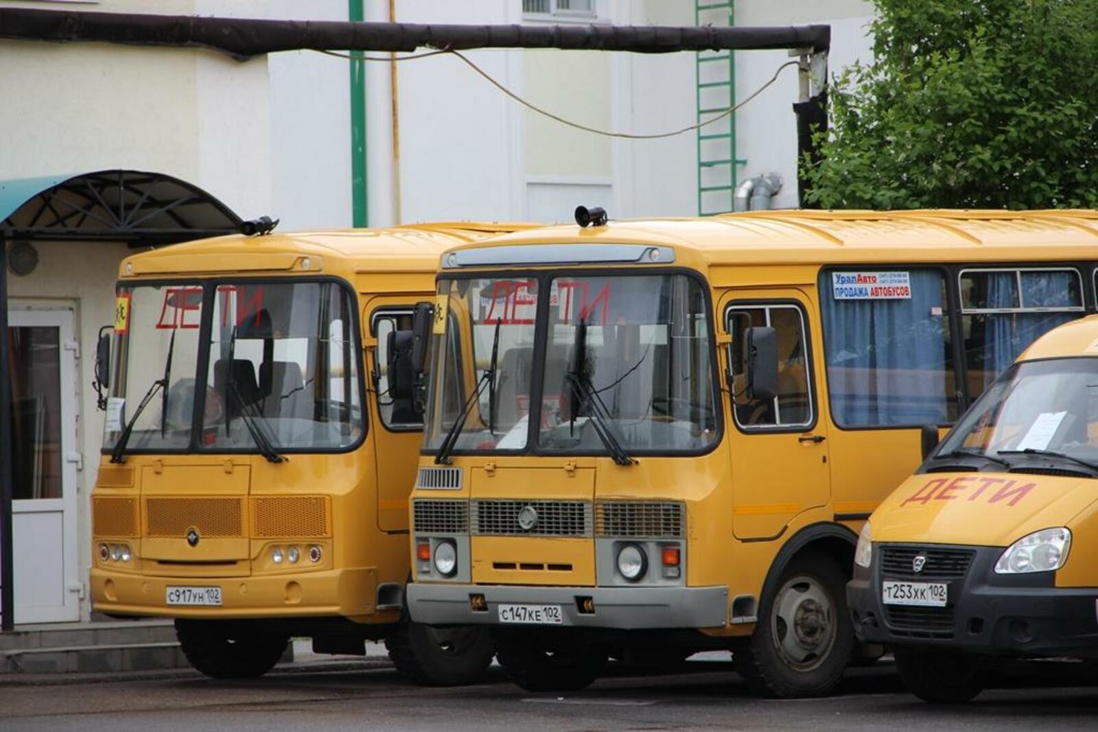 Ксения Калинина