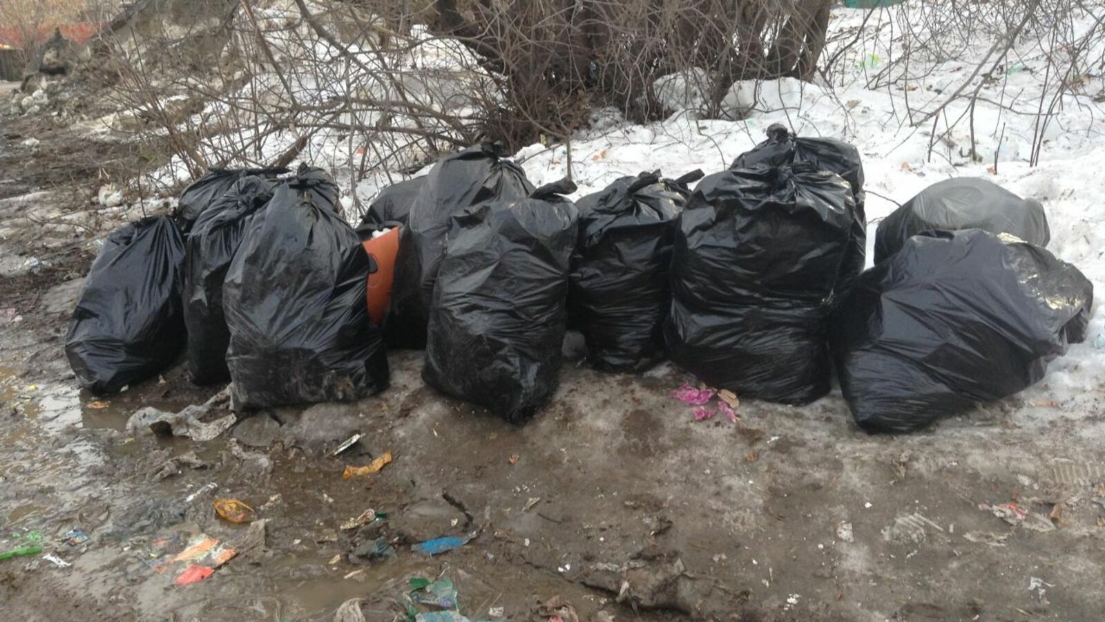 Дмитрий Слезин