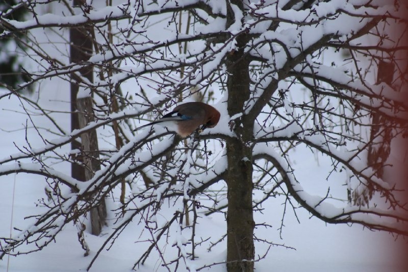 Нацпарк "Башкирия" ТГ-канал