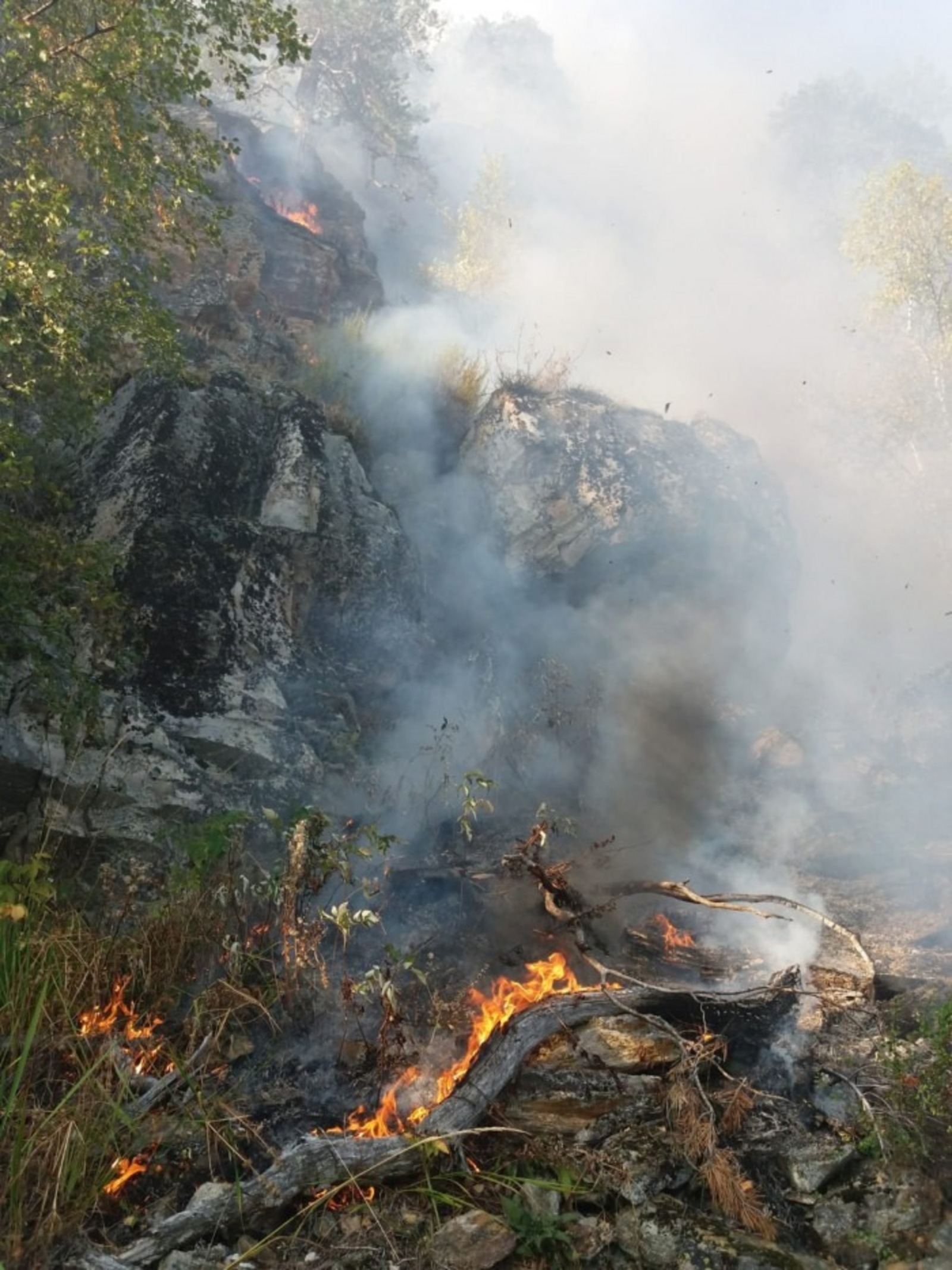 Сухая жаркая погода в Башкирии провоцирует лесные пожары