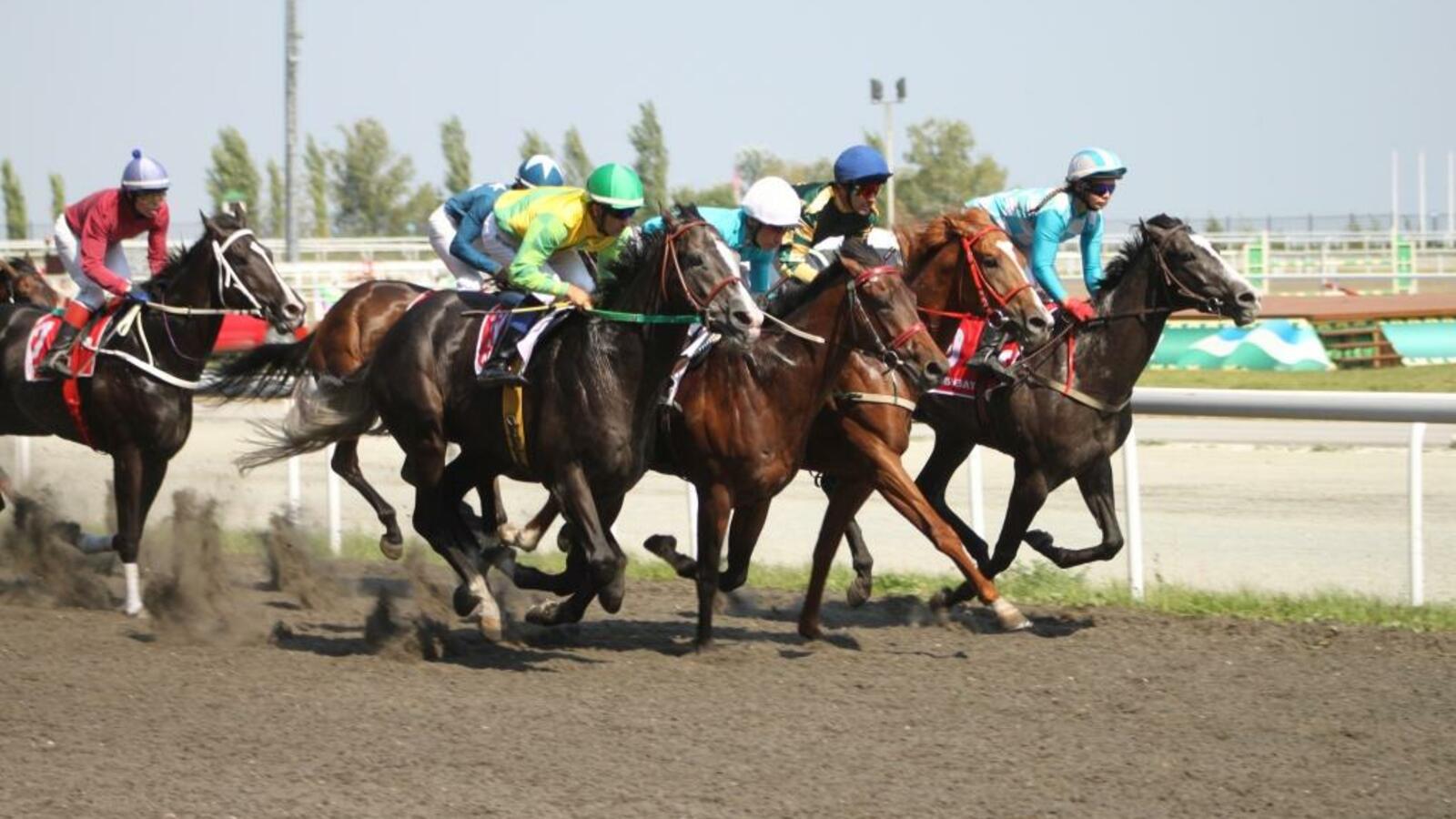 предоставлено ипподром «Акбузат»