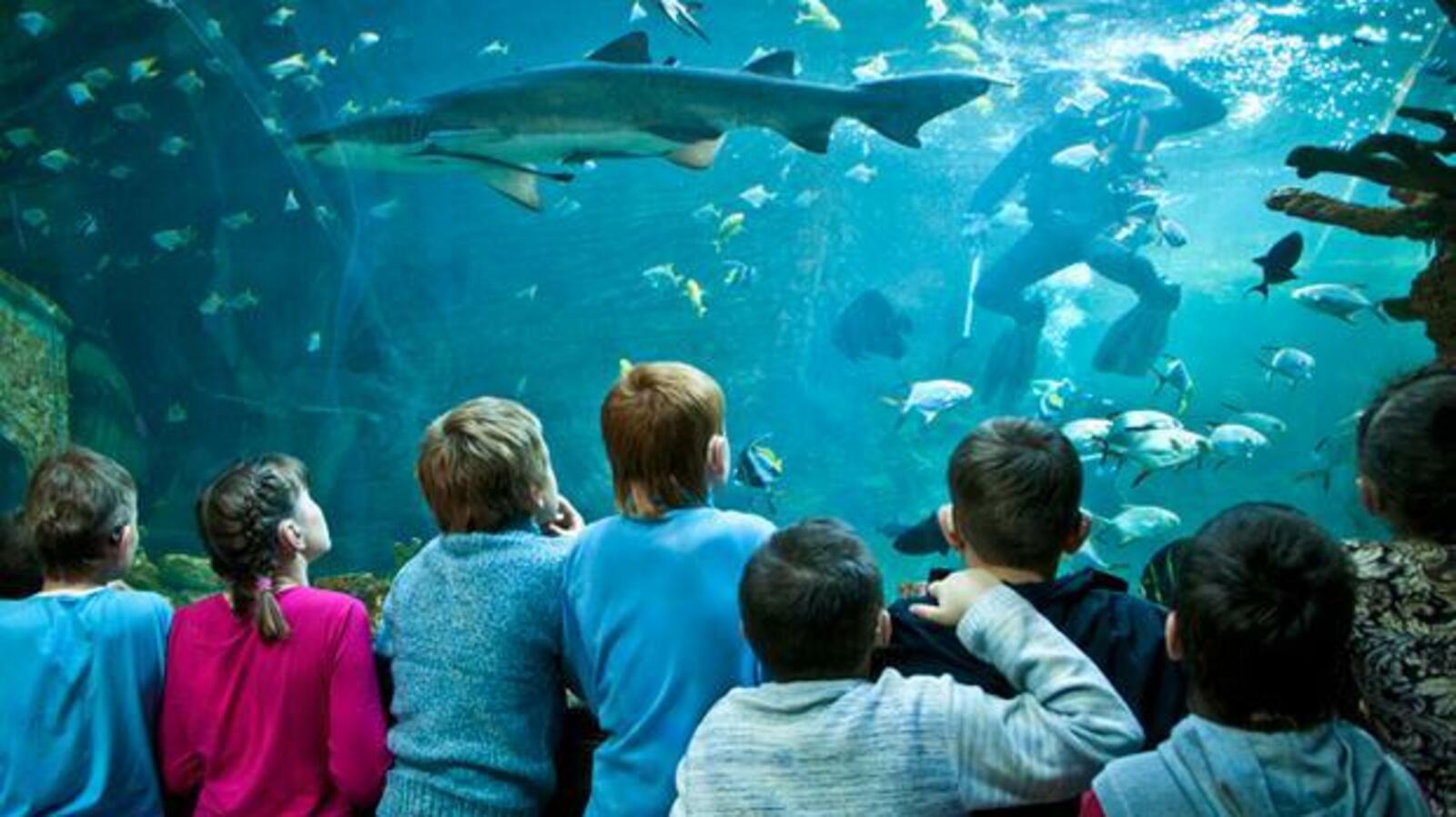 ИА «Башинформ»