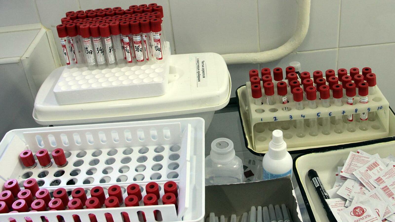 Ксения Калинина