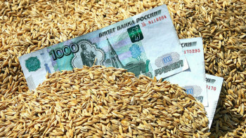 В Башкирии благодаря зерновым интервенциям хозяйства реализовали более 127 тысяч тонн продукции