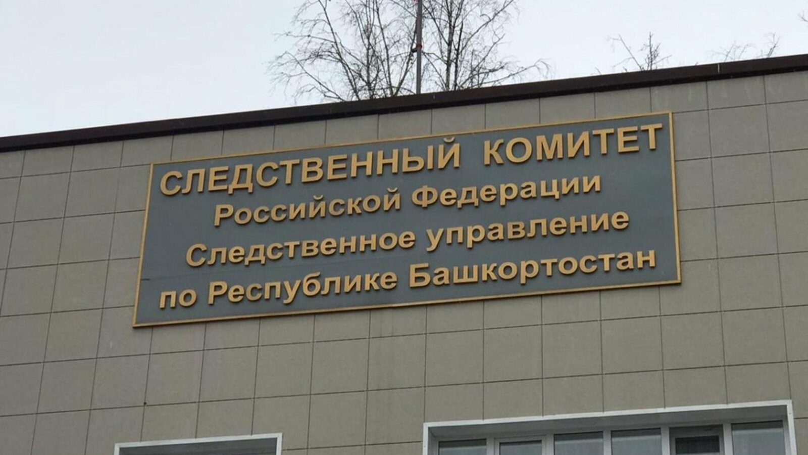 Ксения Калинина