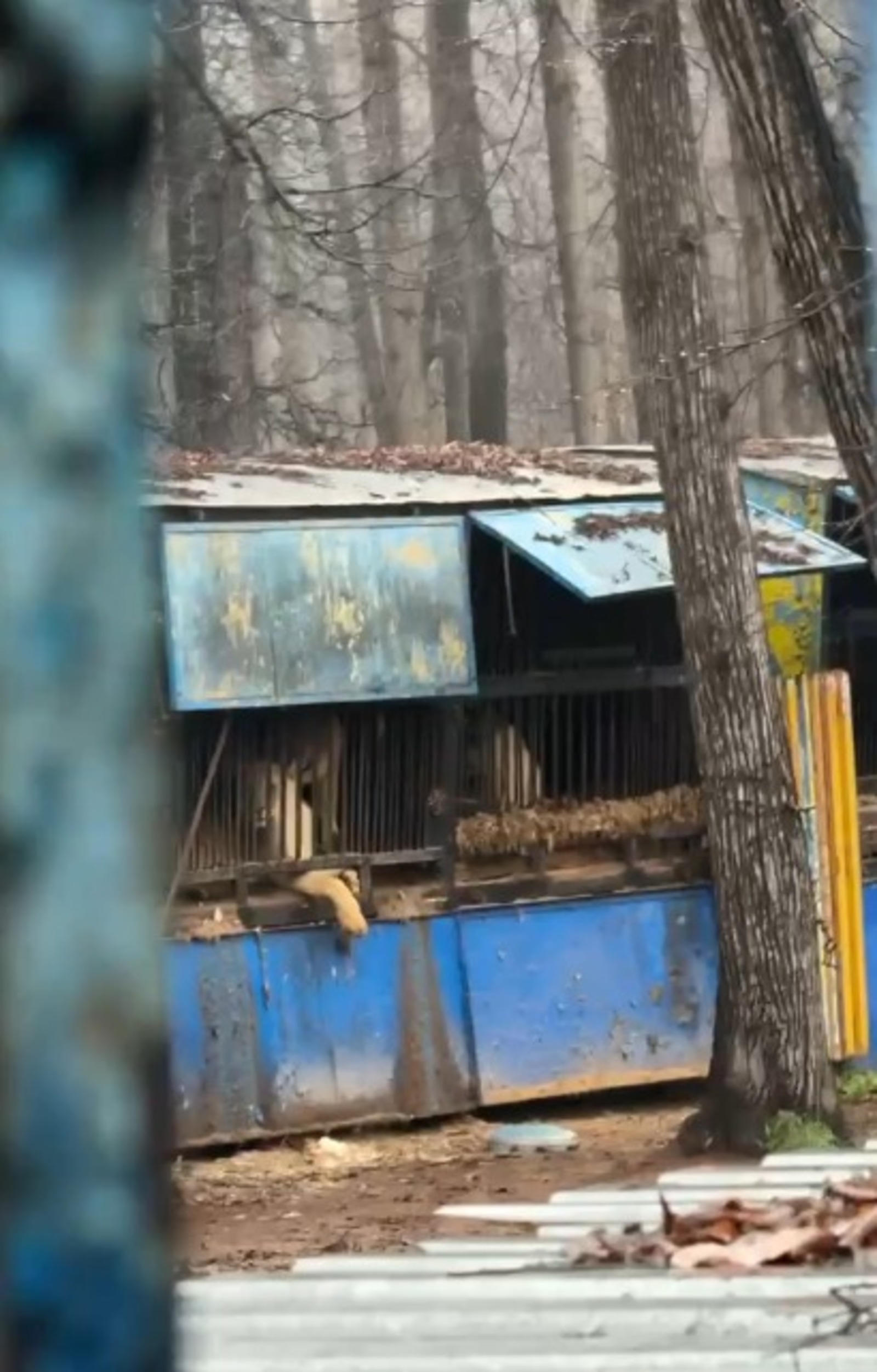 скриншот видео ТГ-канала «Моя Уфа»