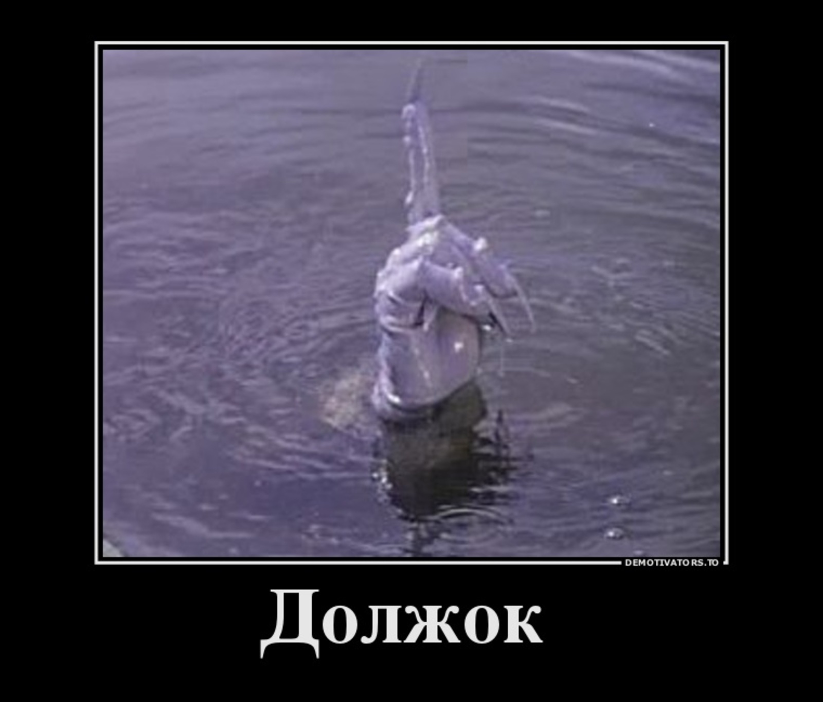 Должок картинка