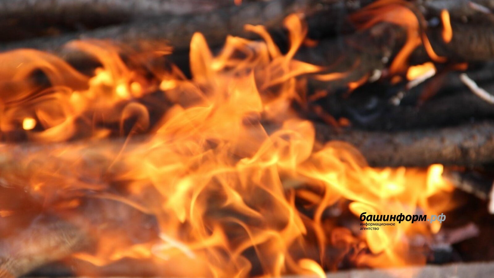 «Башинформ»  архив