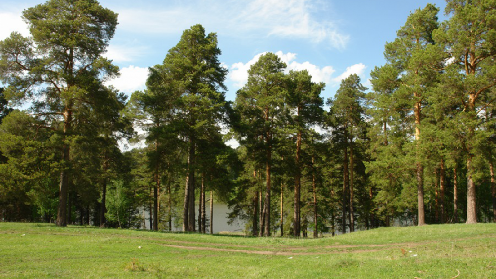 Минлесхоз РБ