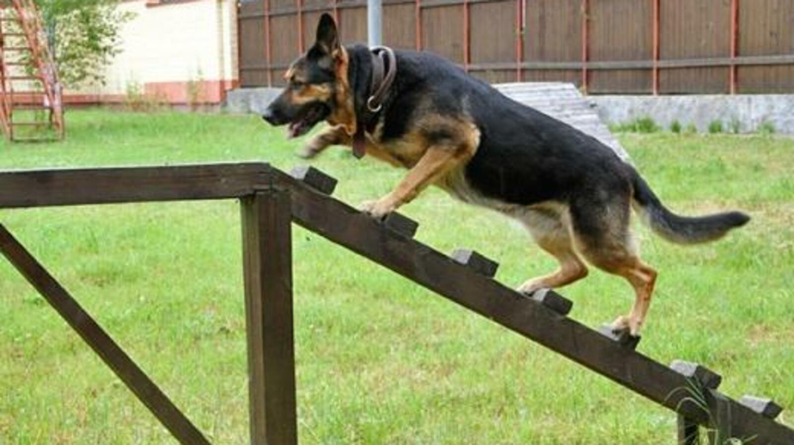 открытый источник