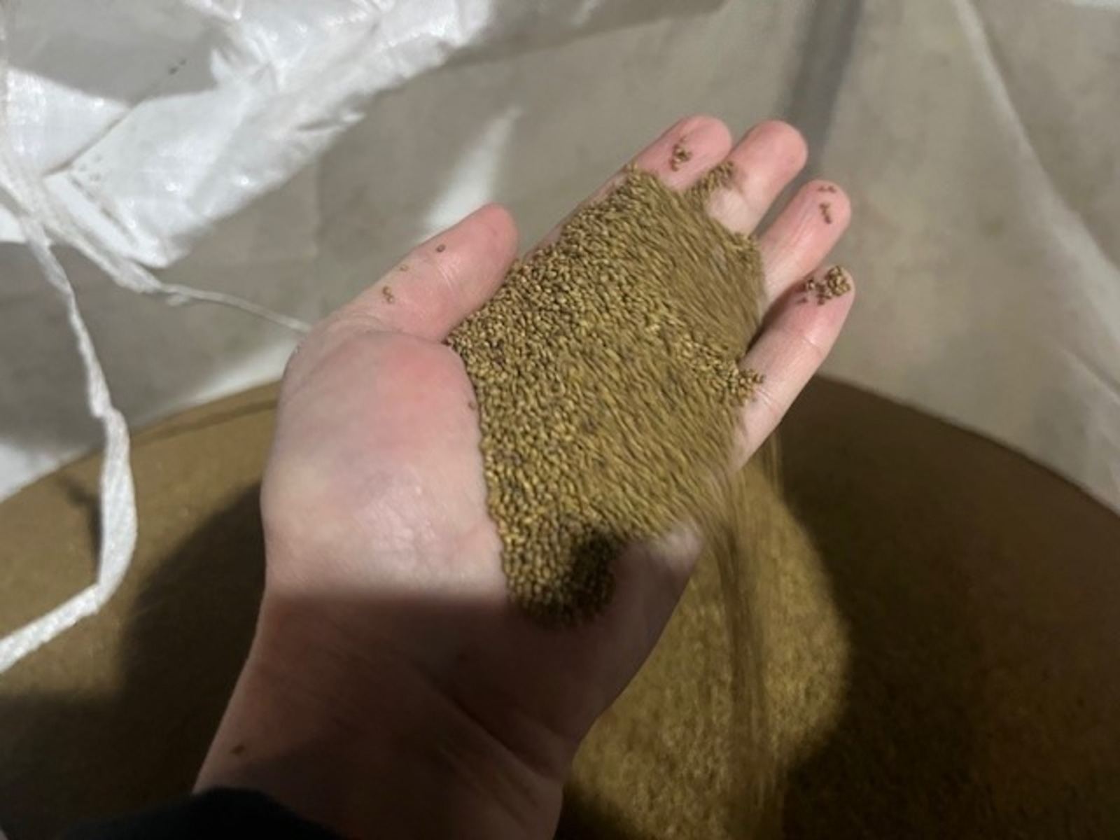 пресс-служба  РСХН по РБ