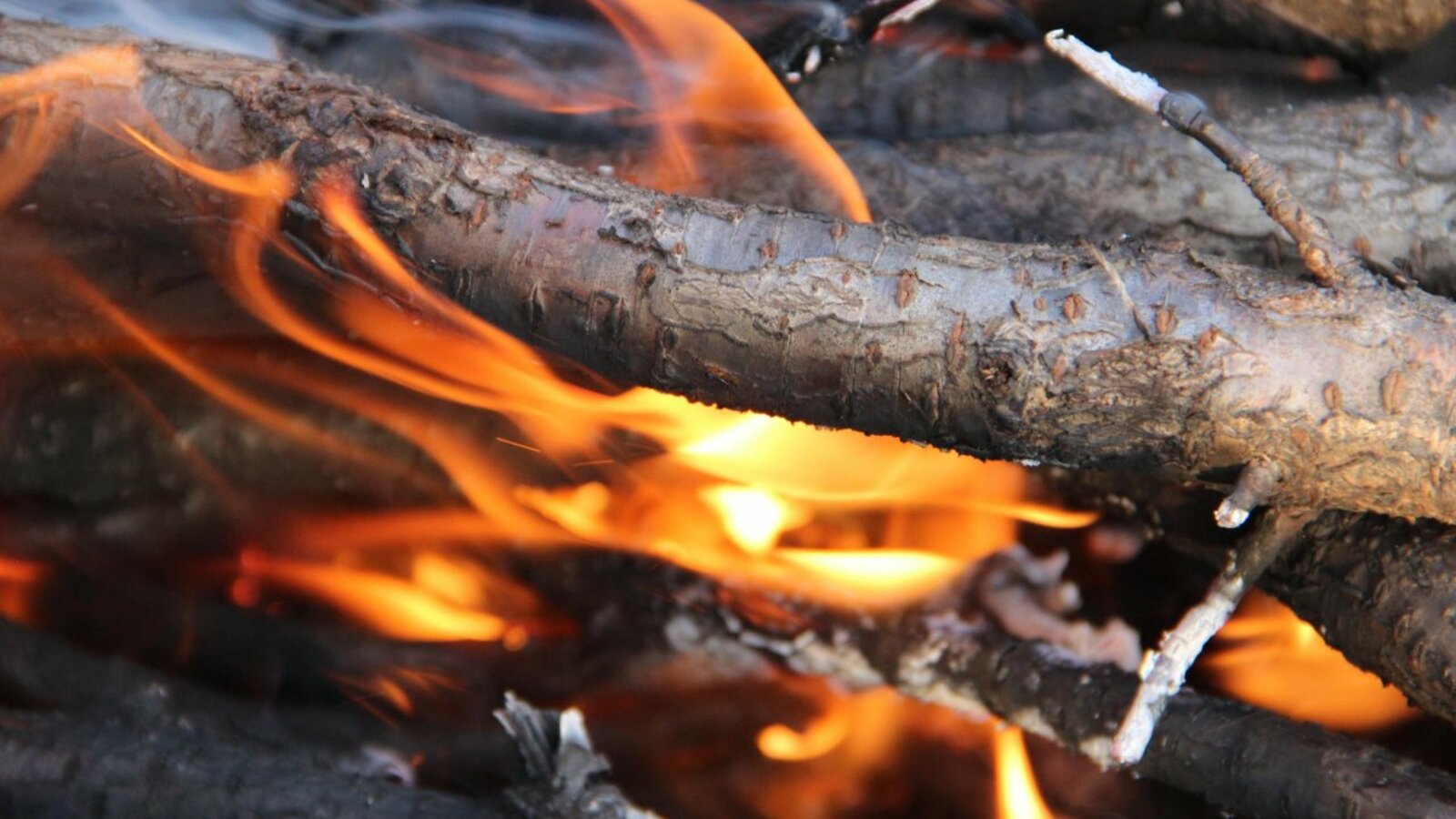 ИА «Башинформ»