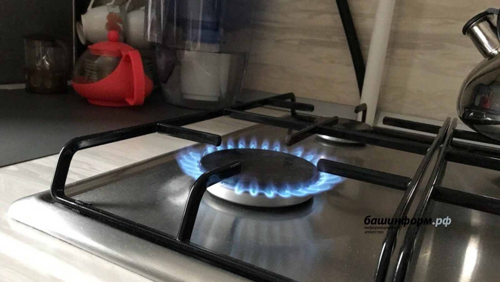 Ксения Калинина