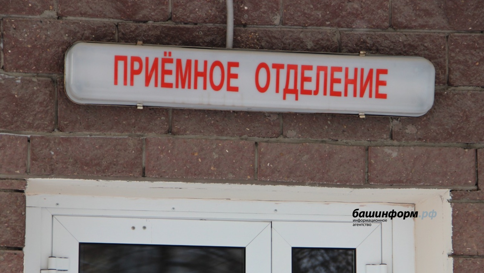 Ксения Калинина