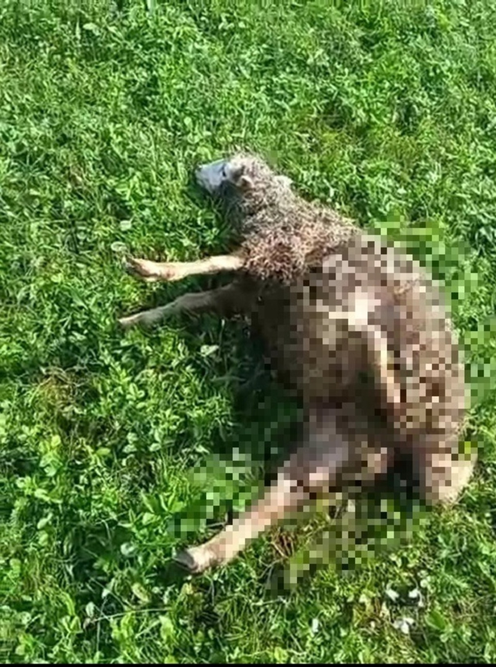 «Еҙем» тәбиғәт паркы, Вк