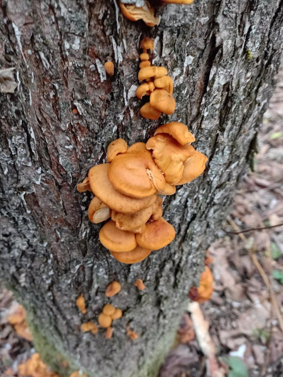 пресс-служба нацпарка «Башкирия»
