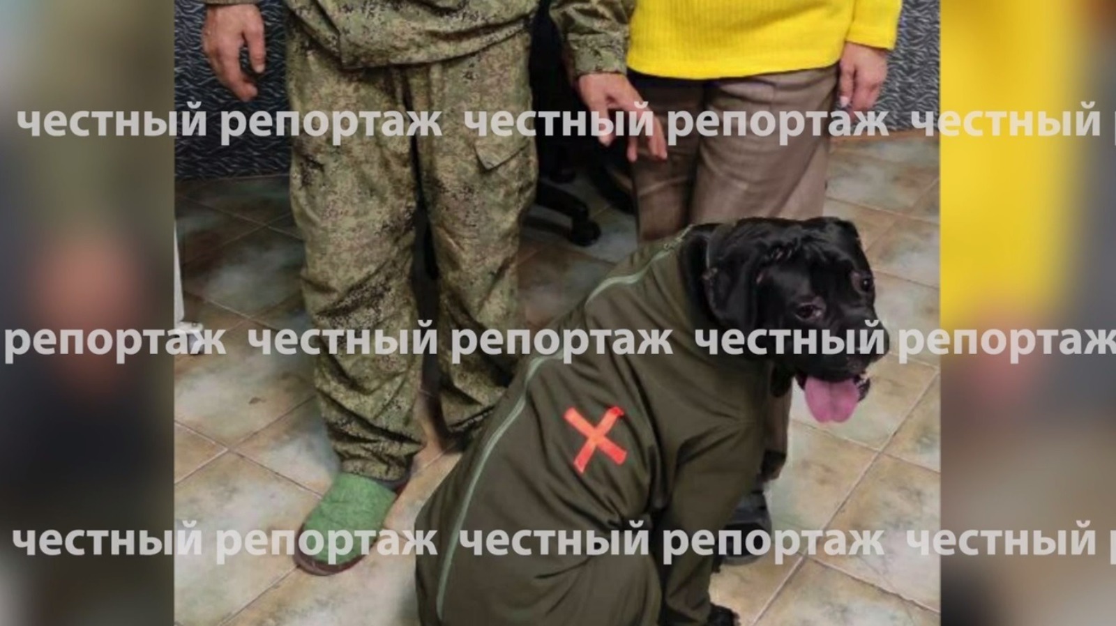 стоп-кадр видео «Честный репортаж», телеграм