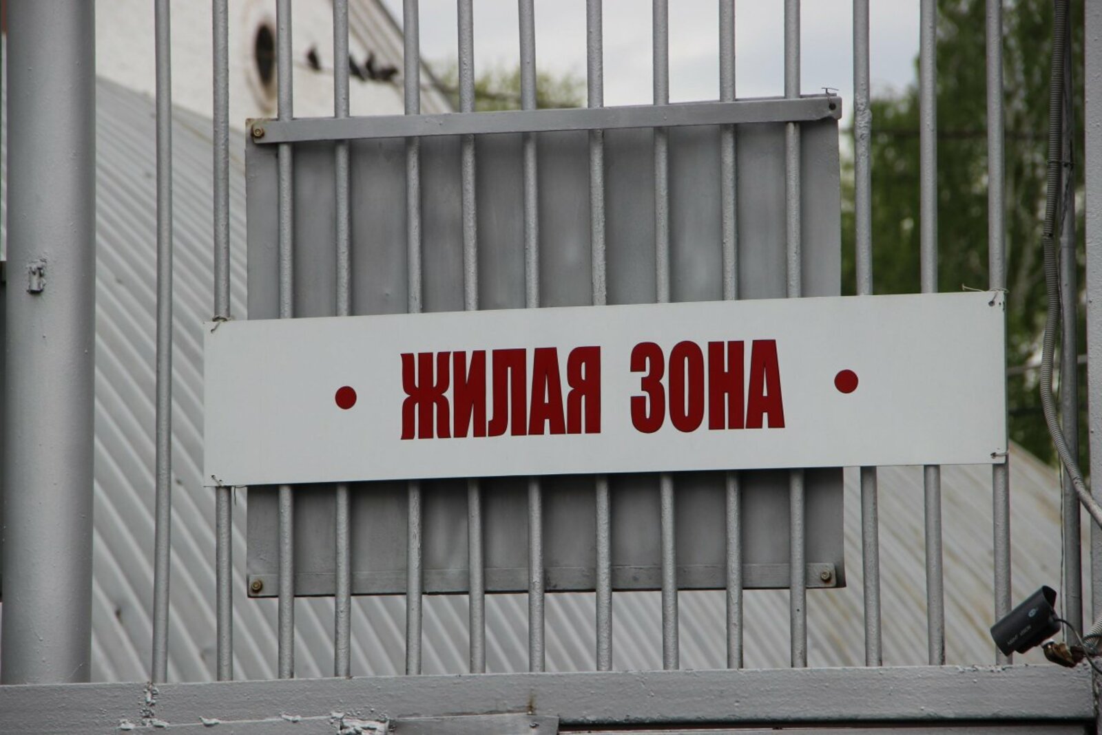 Ксения Калинина