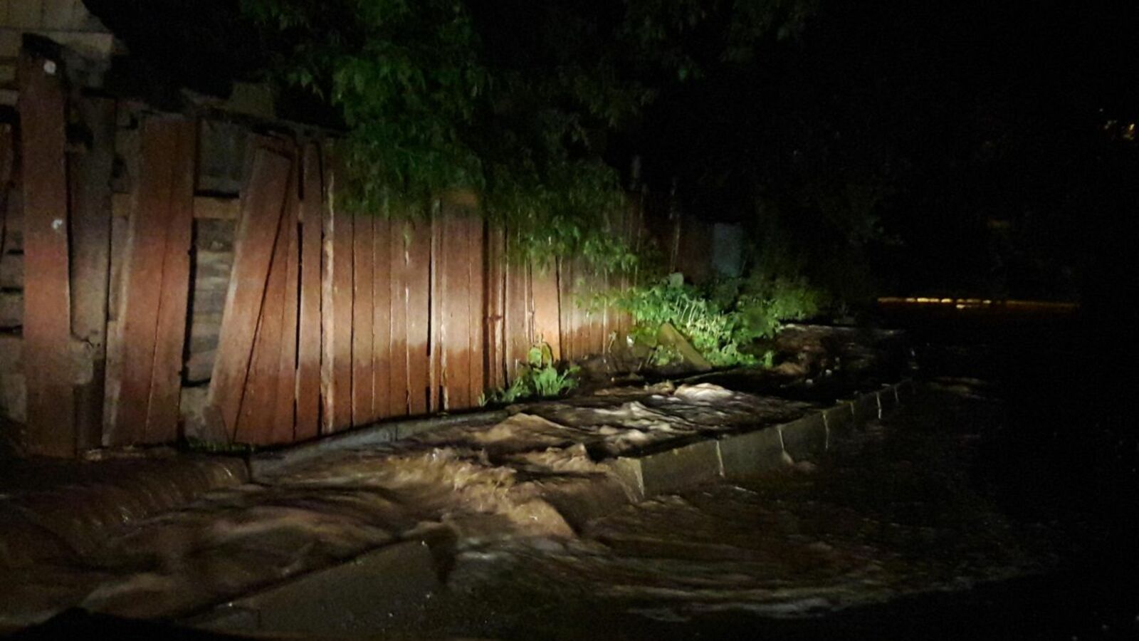 автор, собственный источник