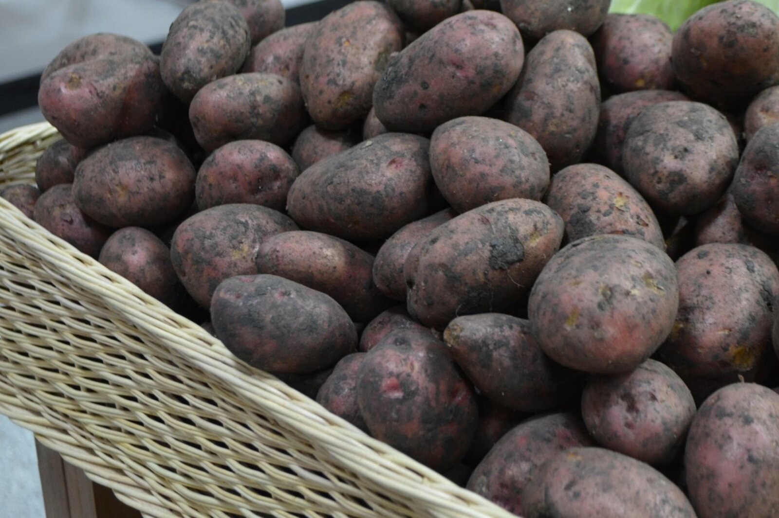 Ксения Калинина