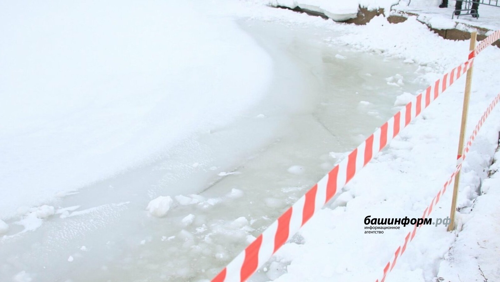 Олег Яровиков архив «Башинформа»