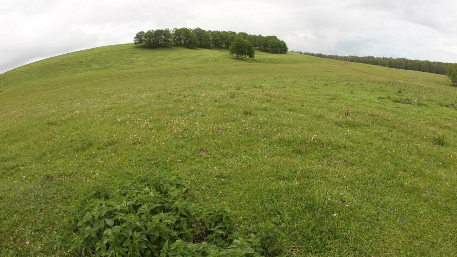 ИА «Башинформ»