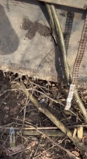 скриншот видео