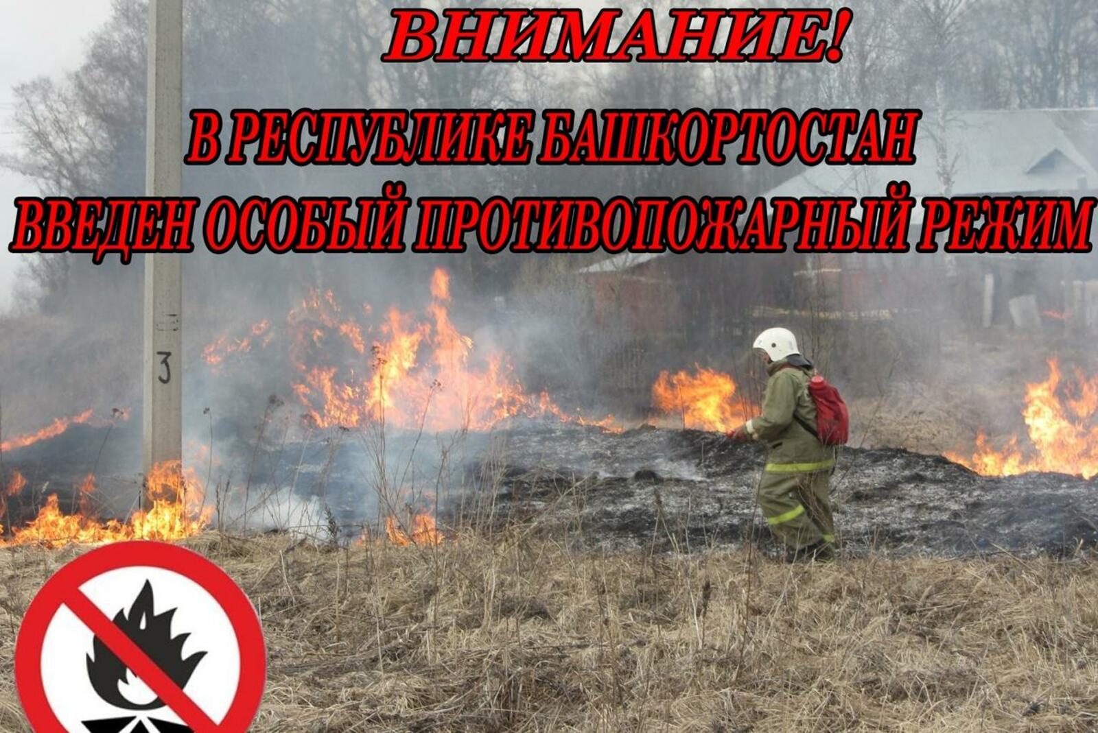 МЧС РБ
