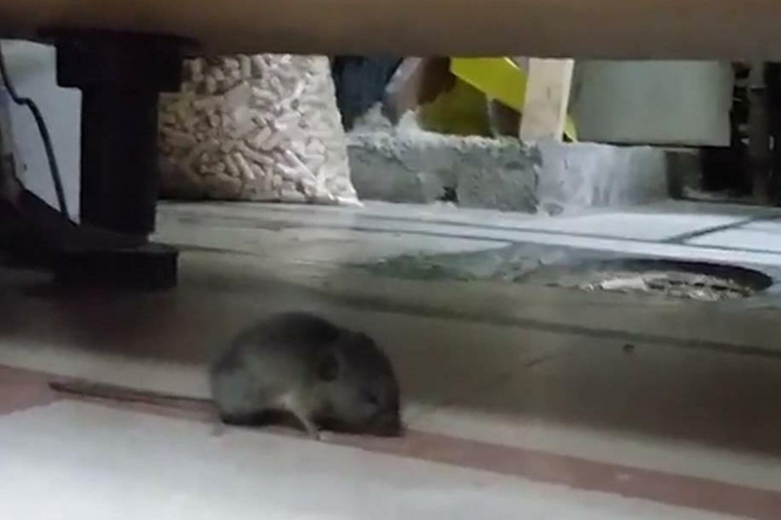 скриншот видео